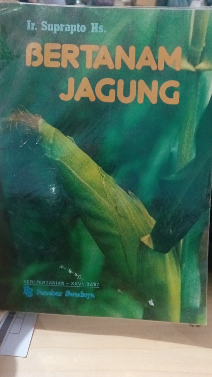 Bertanam Jagung