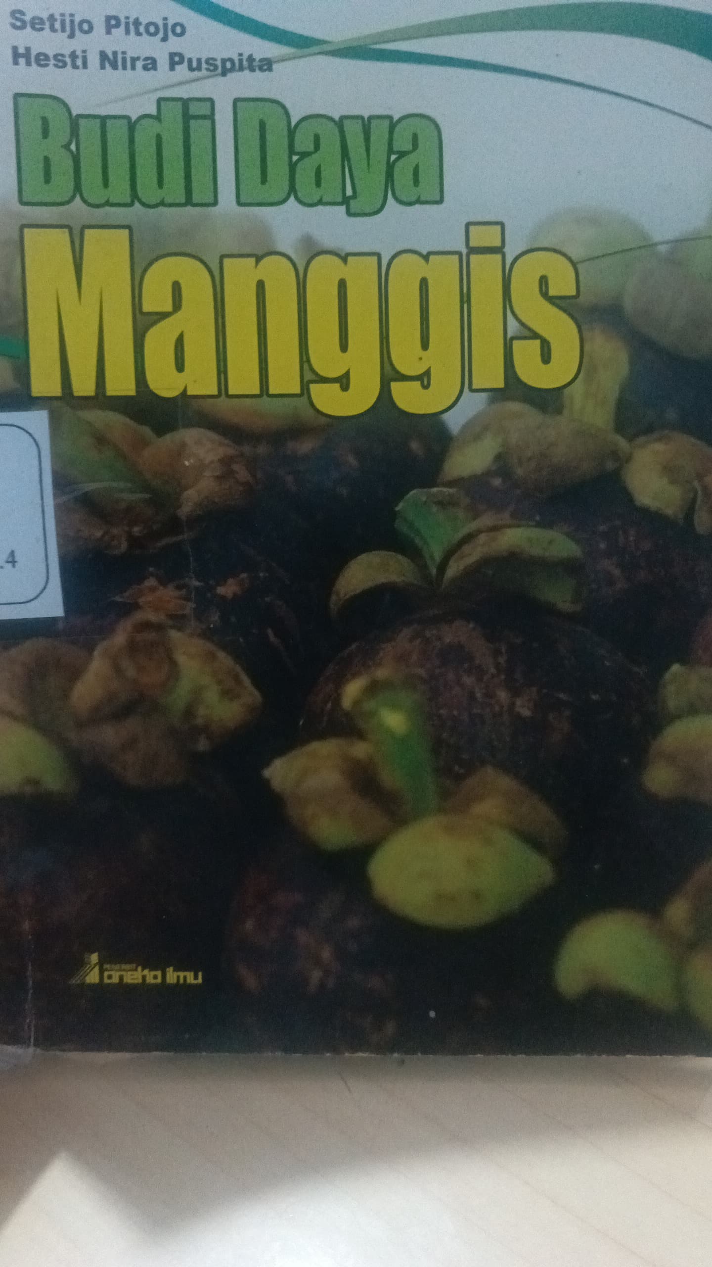 Budi Daya Manggis